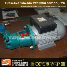 Yonjou Hydraulic Oil Pump